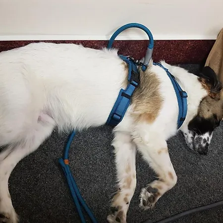 Michael Lust Auf Zuhause Ferien In Der Provinz Appartement *