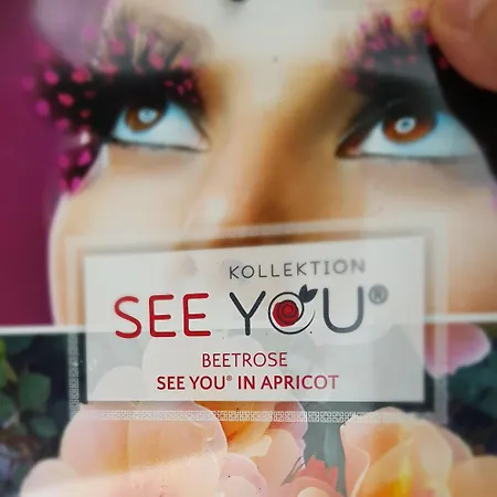 Michael Lust Auf Zuhause Ferien In Der Provinz * Herford