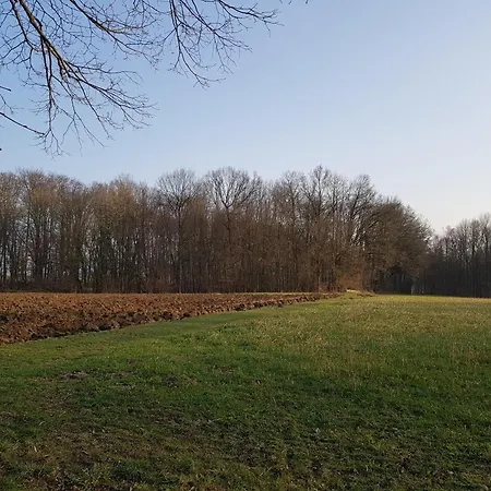 Michael Lust Auf Zuhause Ferien In Der Provinz Appartement