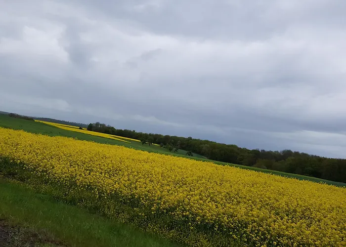 Appartement Michael Lust Auf Zuhause Ferien In Der Provinz *