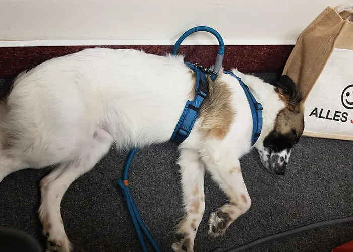 Michael Lust Auf Zuhause Ferien In Der Provinz 아파트 *